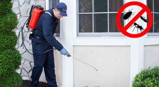 Otlukbeli Tahtakurusu İlaçlama böcek ilaçlama ve haşere kontrolü — ilaclama-tr.com